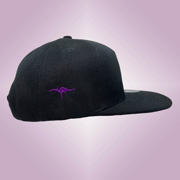 DANA cap snapback right side purple